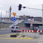 Stargard cały w forsycjach
