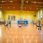 Przystanek wraca na miejsce