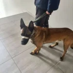 Utrudnienia w centrum Stargardu i nie tylko