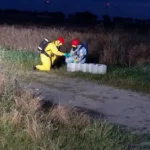 Stargard dostał pieniądze na sterylizację i kastrację bezdomnych psów i kotów