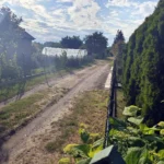Już 19 razy pokonali trasę wokół Miedwia. Niektórym na miejscu kibicowali najbliźsi