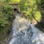 Mieszkańcy os. Lotnisko będą zbierać podpisy pod petycją do prezydenta