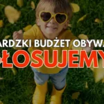 Drogowcy pracują na S10, są potężne korki