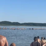 Ikony Izabeli Strzelczyk – Kosmal na ścianach urzędu