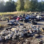 Różnorodność kultur połączyła mieszkańców w parku Chrobrego