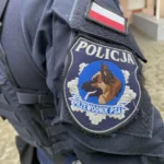 Ich Troje znów zagra w amfiteatrze