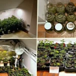 Inspekcja transportu drogowego kontrolowała przewoźników