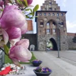 Nowa nawierzchnia, stare problemy. Mieszkańcy Drzymały apelują o kontrolę prędkości (akt.)