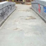 Niebezpieczne drzewo w Parku Jagiellońskim