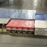 W Kunowie auto uderzyło w drzewo