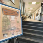 Nowe drzewo w Parku 3 Maja. Ambrowiec symbolem empatii i wsparcia