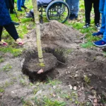 Na 211 m. kw. powstanie dziewczynka na huśtawce. Mural będzie kosztował ponad 44 tys. zł