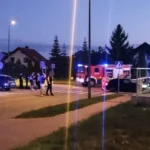 W jego domu znaleźli  479 krzewów  i  ponad 3 kilogramy gotowej marihuany