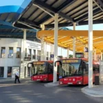 Lato z Sydonią  – Marianowo zaprasza. Będą m.in. Halama i Sobota