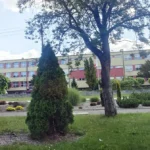 Trwa zbiórka dla małżeństwa z Zieleniewa. Ogień zniszczył dom