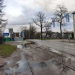 Gałęzie leżą od tygodni, drzewa wymagają podcięcia