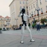 Zarzut poplecznictwa po zastrzeleniu psa w Żarowie. W lesie odnaleziono zwłoki zwierzęcia