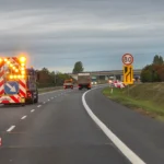 Stargardzkie kaczki znów popłyną Iną